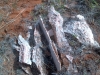 Gypsum rock in King County